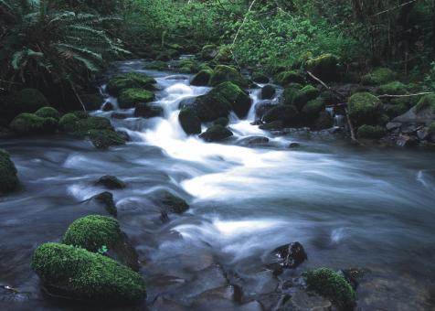 Free Stock Photo of Running Stream