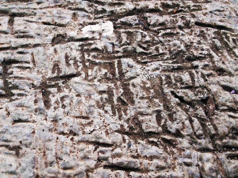Free stock image of Ground Texture created by B