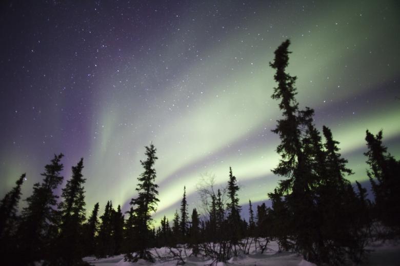 Free stock image of Northern Lights created by Pixabay