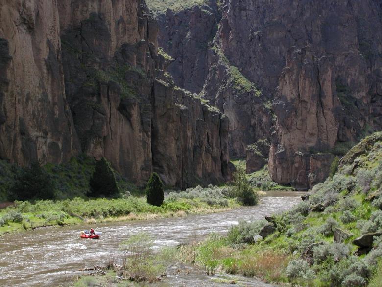 Free stock image of Rafting in the Running Water created by Pixabay