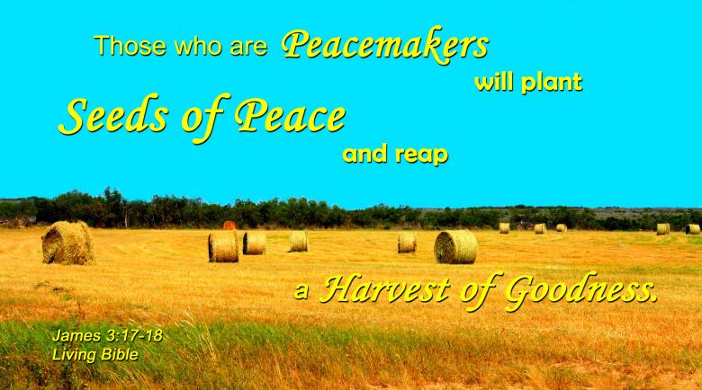 Free stock image of Seeds of Peace created by DFNatureAwed