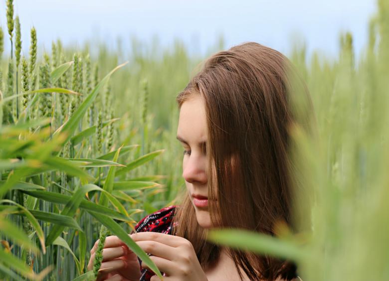 Free stock image of Hide and seek created by svklimkin