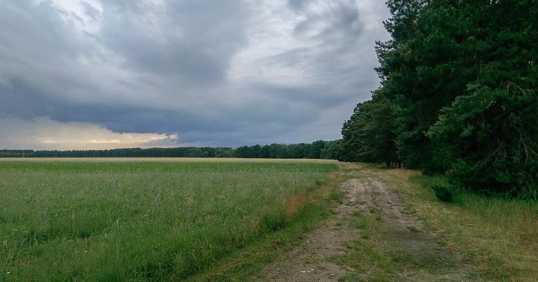 Free stock image of Landscape Brandenburg created by Oliver Puppel