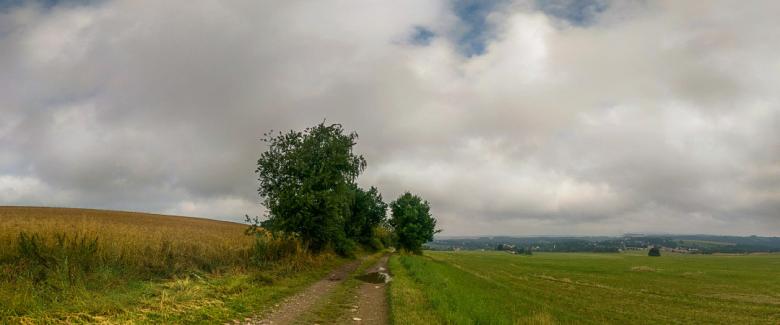 Free stock image of Feldweg nach Niederwiesa created by Oliver Puppel