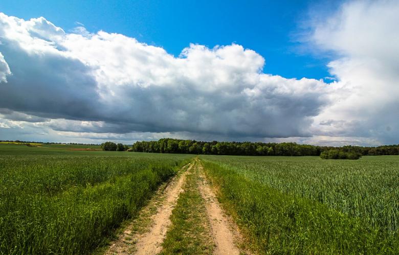 Free stock image of Landscape in Blumberg created by Oliver Puppel