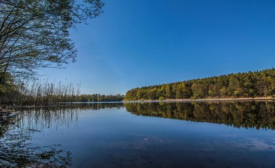 Landscape in Brandenburg - Free Stock Photo