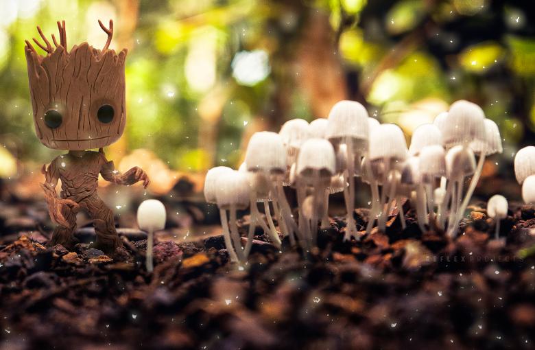 Free stock image of I'm Groot created by Allan Pinheiro de Lima