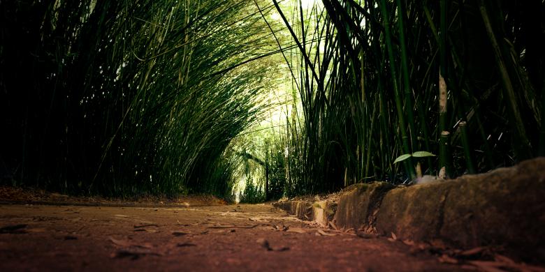 Free stock image of A Way created by Allan Pinheiro de Lima