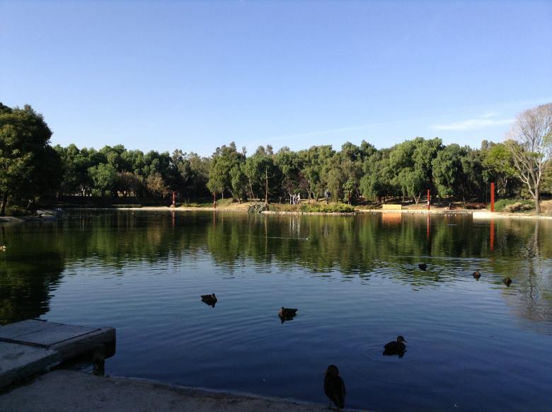 Free stock image of Tezozomoc Park created by Marian