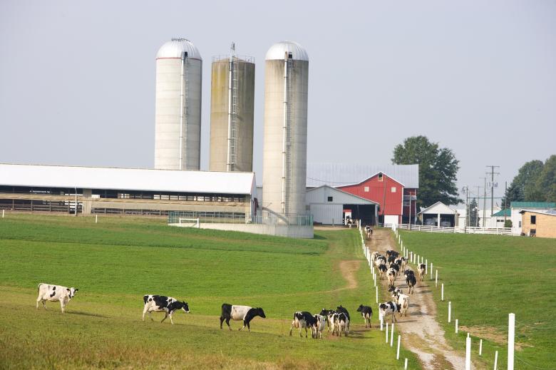 Free stock image of Dairy Farm created by Pixabay
