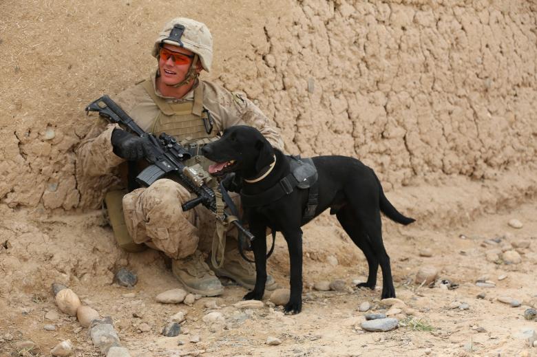 Free stock image of Solider with Dog created by Pixabay