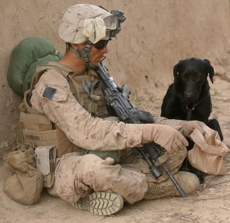 Free stock image of Solider with Dog created by Pixabay