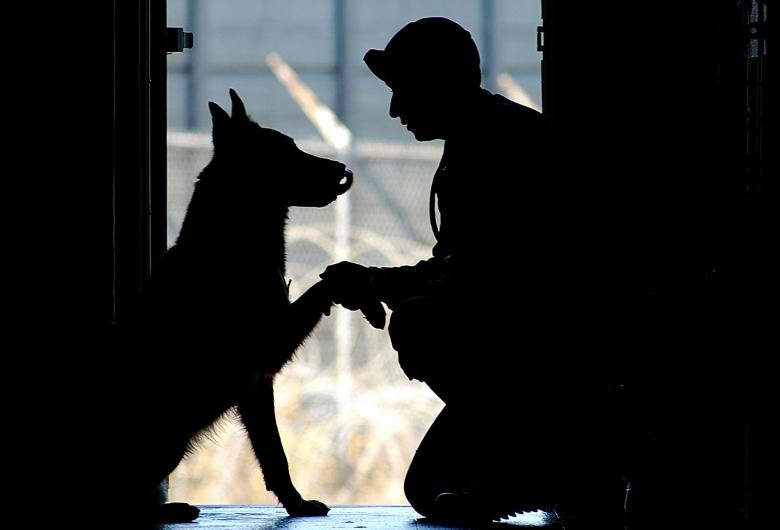 Free stock image of Solider with Dog created by Pixabay