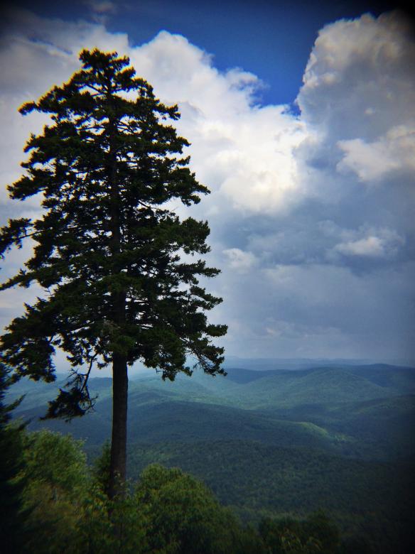 Free stock image of This View created by Nature Girl