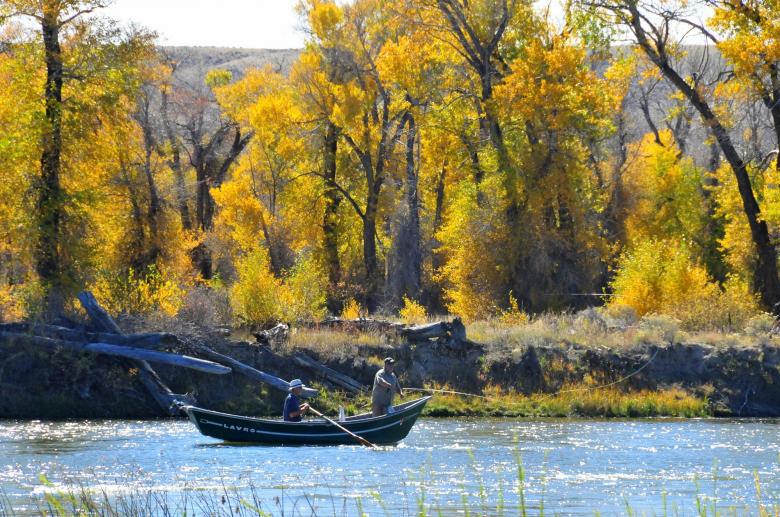 Free stock image of Fishing in the River created by Pixabay