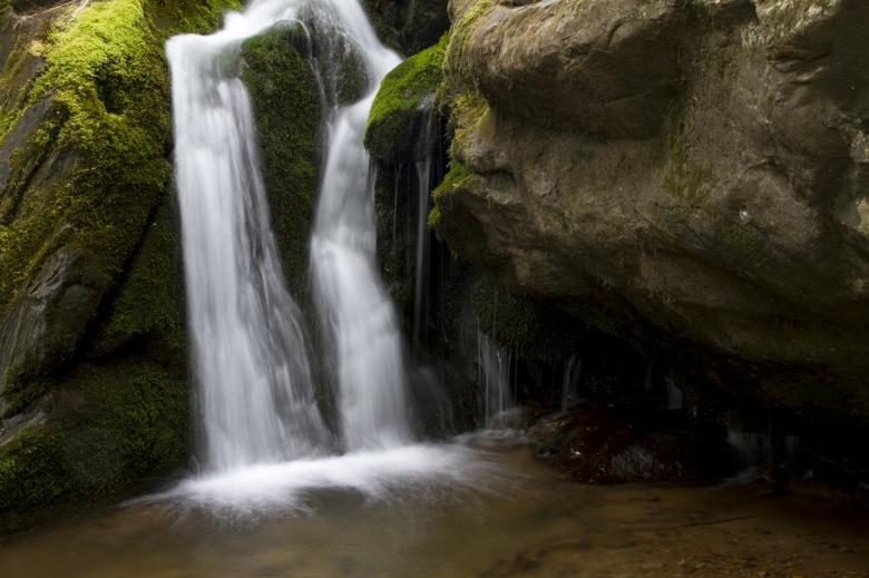 Free stock image of In the Wild created by Pixabay