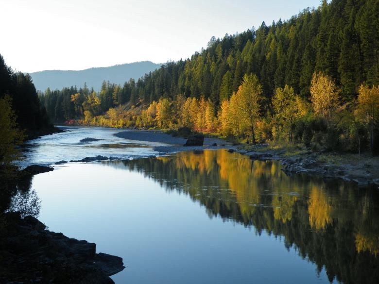 Free stock image of Flathead River created by Pixabay