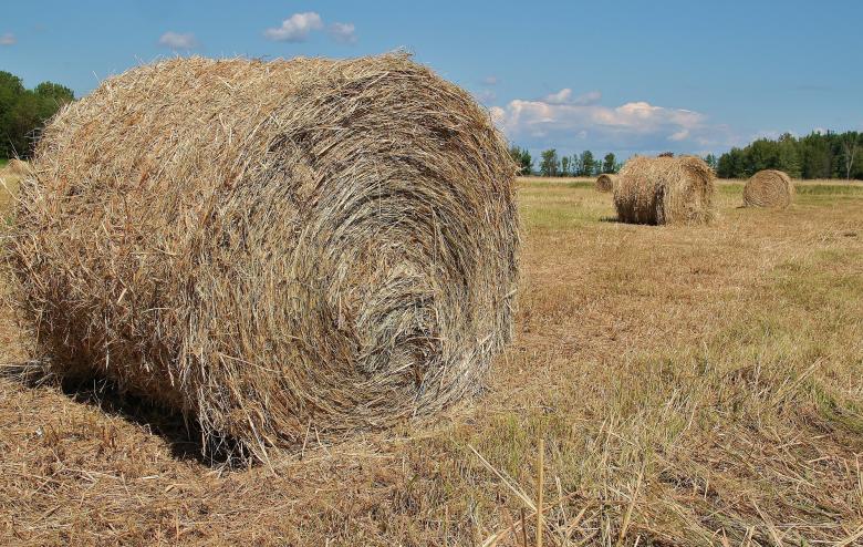 Free stock image of Hay Bales created by Pixabay