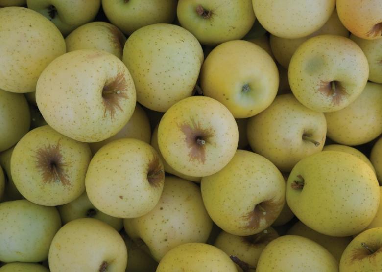 Free stock image of Fresh Apples created by Pixabay
