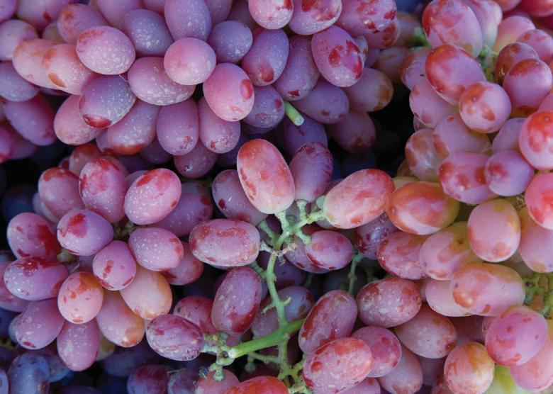 Free stock image of Fresh Grapes created by Pixabay