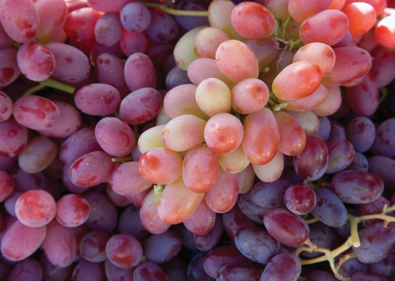 Free stock image of Fresh Grapes created by Pixabay