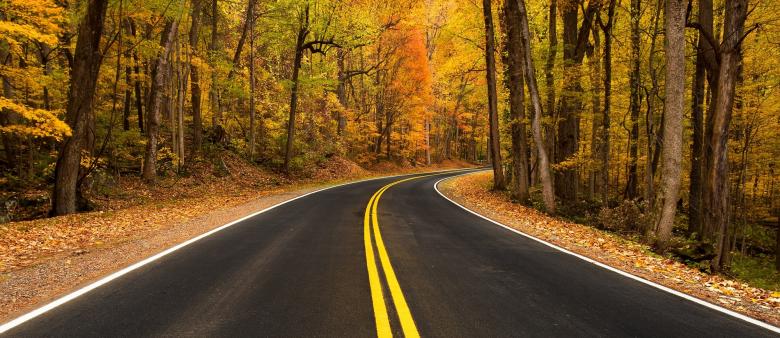 Free stock image of Rural Road created by Pixabay