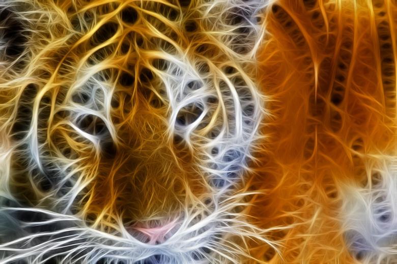 Free stock image of Fractal Art created by Pixabay