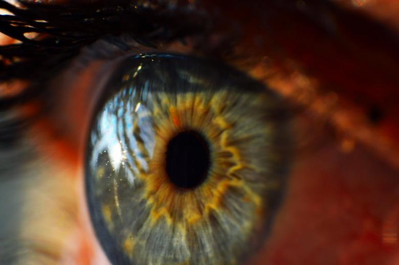 Free stock image of Human Eye created by Pixabay