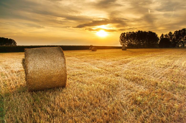Free stock image of Hay created by Pixabay