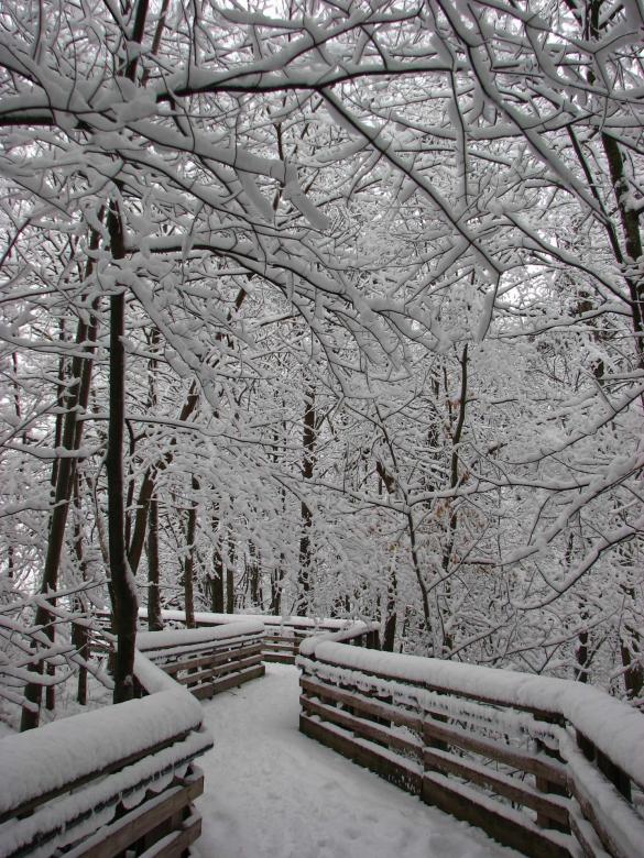 Free stock image of Frozen Bridge created by Pixabay