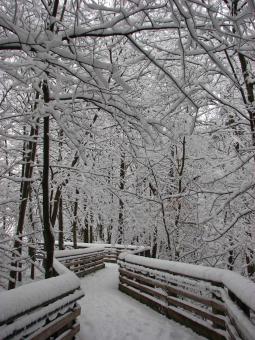 Free Stock Photo of Frozen Bridge