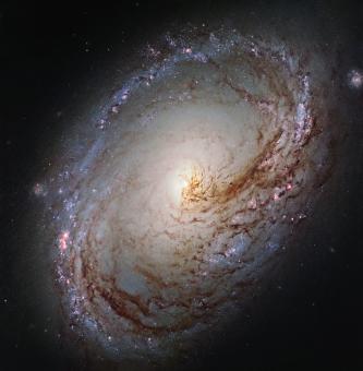 Spiral Galaxy - Free Stock Photo