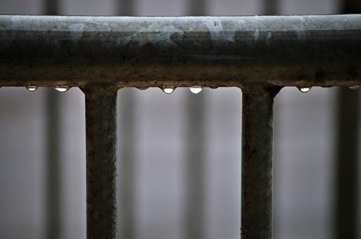 Free Stock Photo of Water Droplets