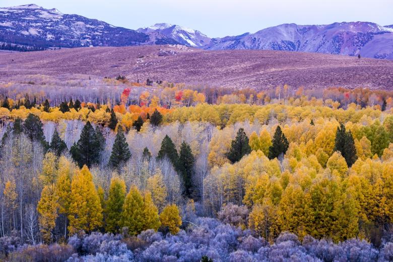 Free stock image of Mountain Range created by Pixabay