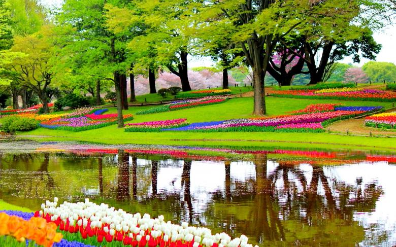 Free stock image of Beautiful Garden created by Pixabay