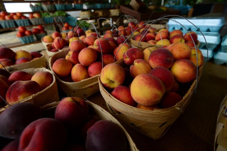 Free stock image of Fruit Stall created by Pixabay