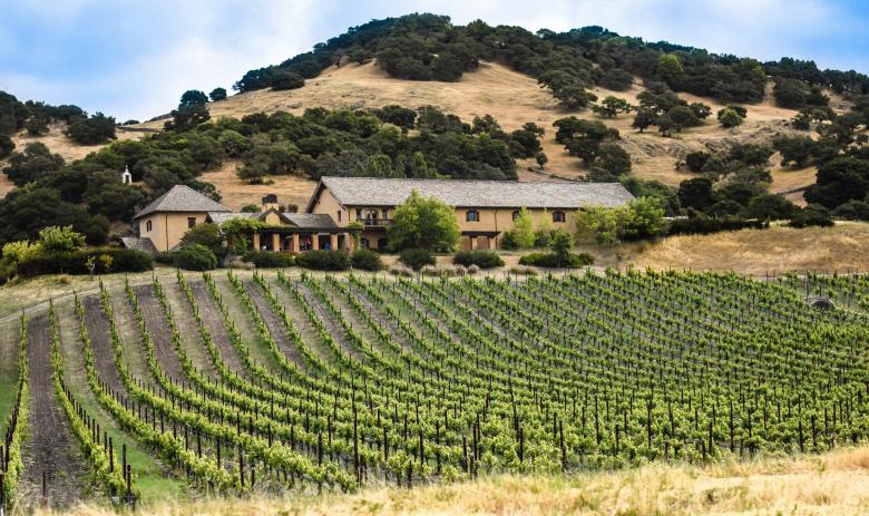Free stock image of Vineyard created by Pixabay