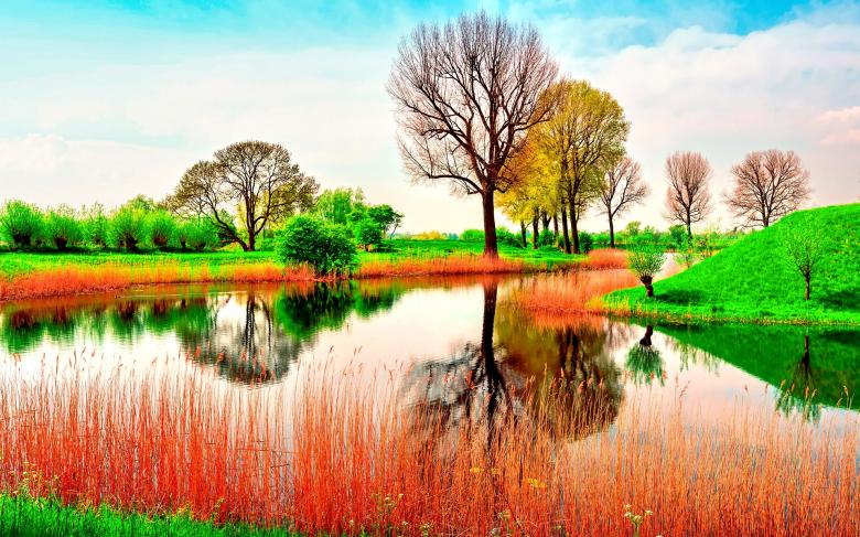 Free stock image of Colors of Nature created by Pixabay