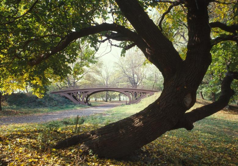 Free stock image of Old Bridge created by Pixabay