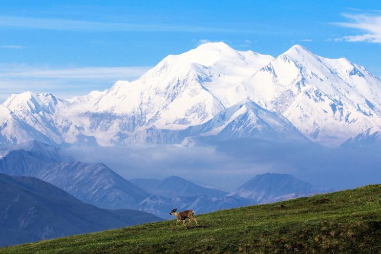 Free stock image of Mount Mckinley created by Pixabay