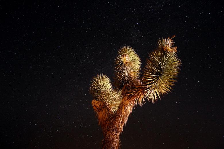 Free stock image of Night Sky created by Pixabay