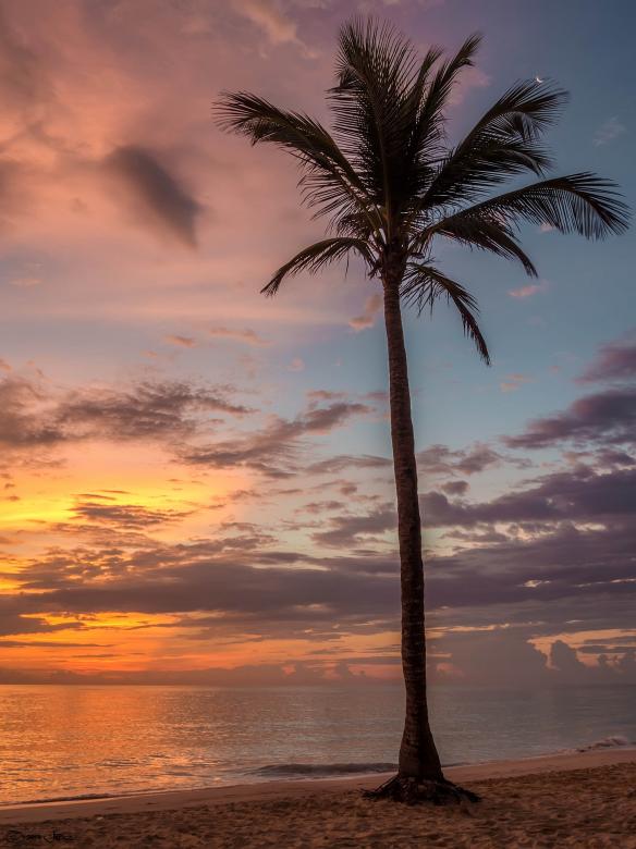Free stock image of Bavaro Beach created by Pixabay