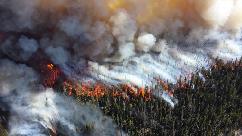 Free stock image of Forest on Fire created by Pixabay