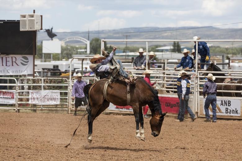 Free stock image of Cowboys created by Pixabay