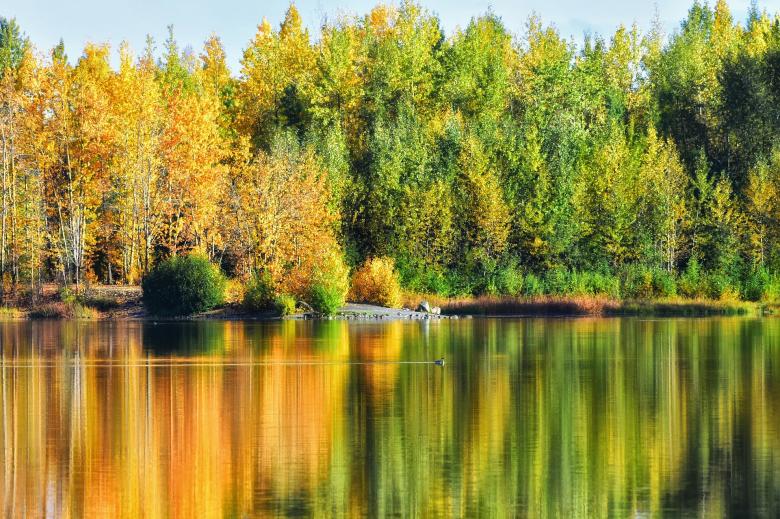 Free stock image of Colors of Nature created by Pixabay