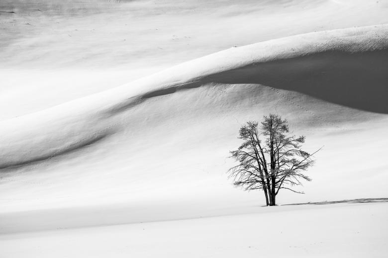 Free stock image of Snow Dunes created by Pixabay
