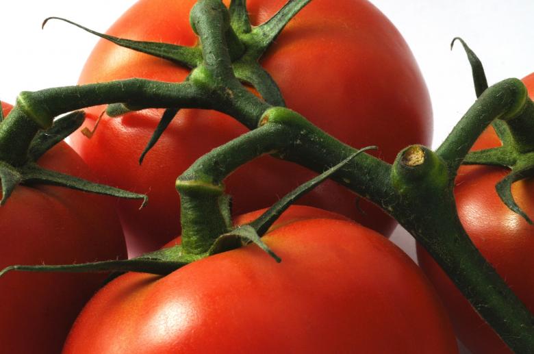 Free stock image of Fresh Tomatoes created by Pixabay