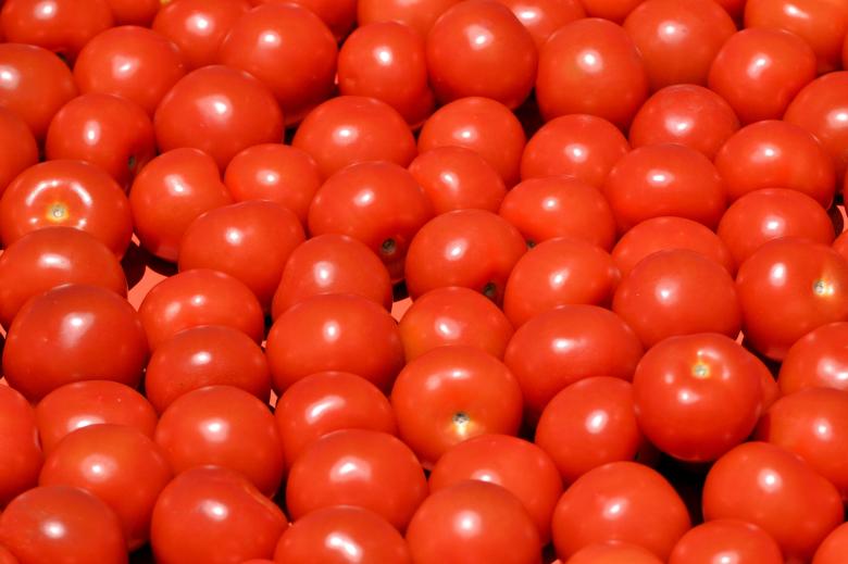 Free stock image of Fresh Tomatoes created by Pixabay