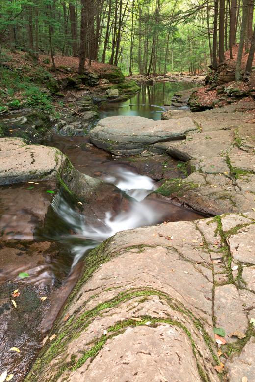 Free stock image of Worlds End Forest Stream created by Nicolas Raymond