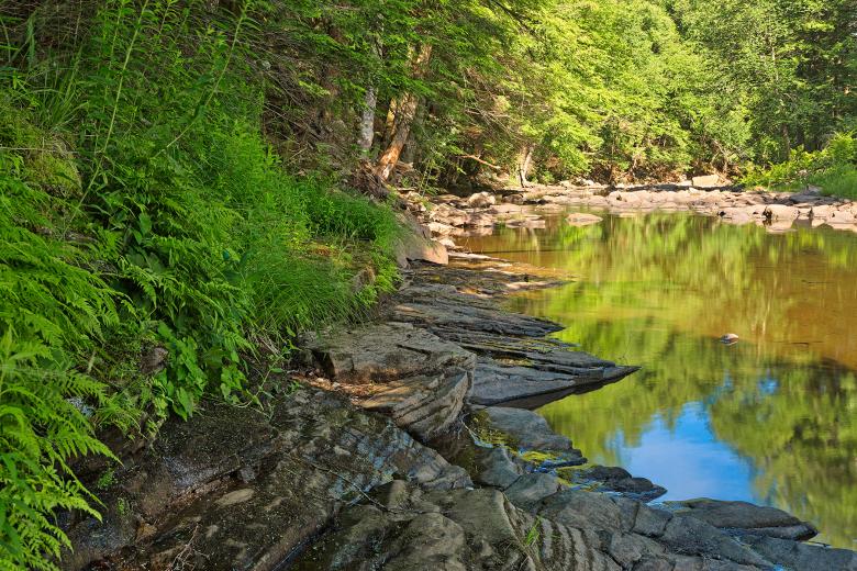 Free stock image of Loyalsock Creek - HDR created by Nicolas Raymond